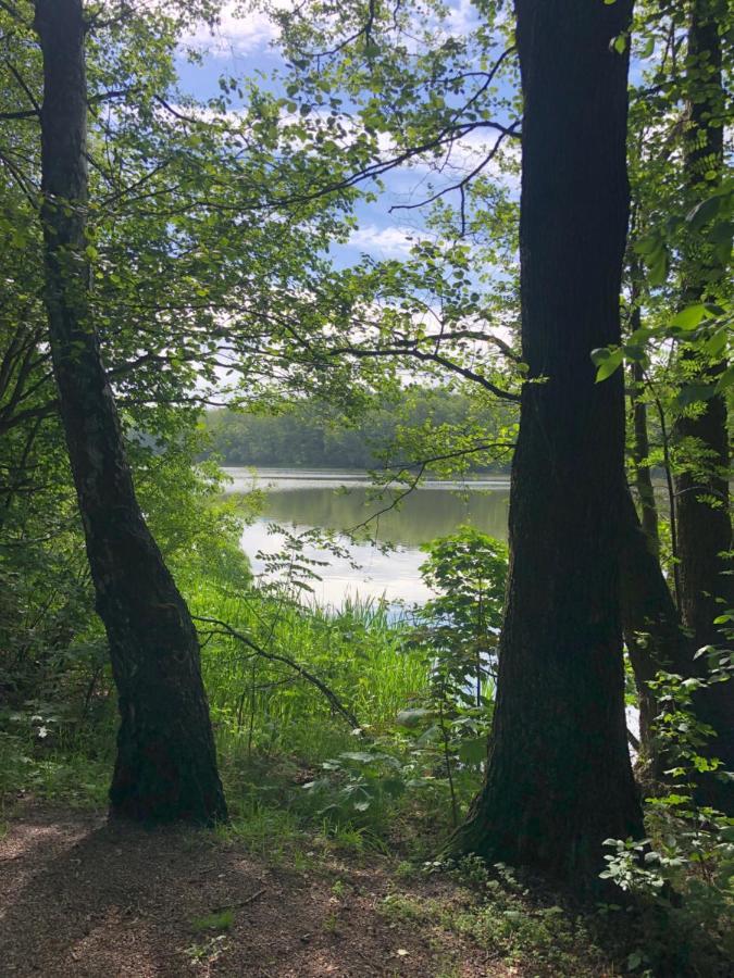 Noclegi Gdansk Pokoje Goscinne Экстерьер фото